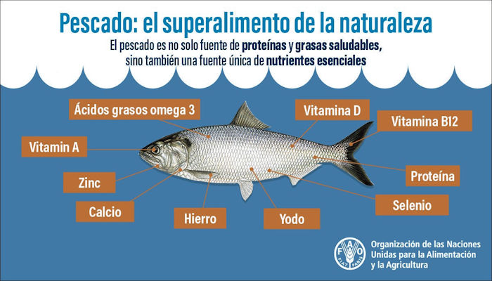 Cómo el atún puede beneficiarte - Conoce los beneficios nutricionales y calorías del atún