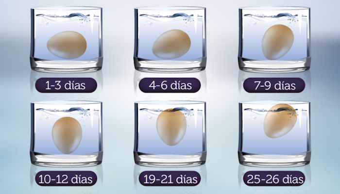 Cuánto duran los huevos después de su fecha de caducidad