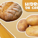 Qué son los hidratos de carbono del pan