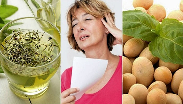 Tratamientos naturales para la menopausia