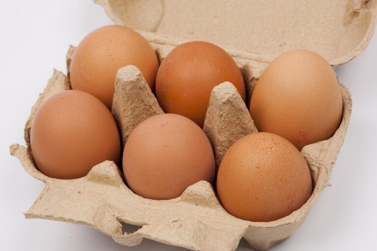Bienestar y Salud: ¡Consume Huevos Diarios!