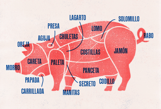 Cerdos españoles