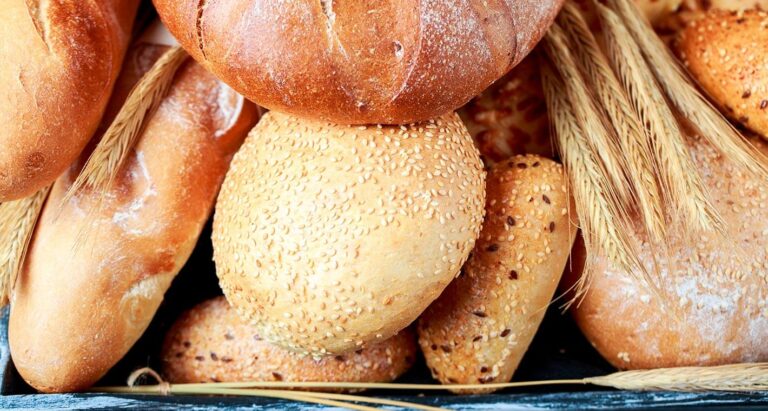 ¿El pan contiene lactosa? – Una explicación nutricional