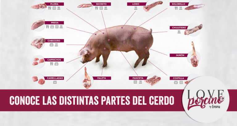 ¿Cuáles son las partes del cerdo jugosas para comer?