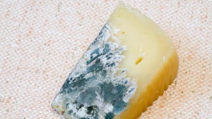¿Qué riesgos hay al comer queso con moho?