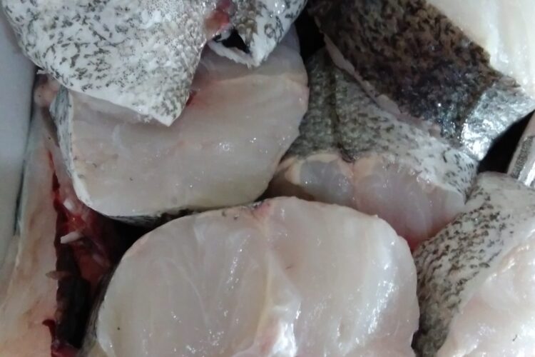 ¿Se puede volver a congelar pescado descongelado y cocinado?