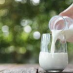 ¿Cuántas calorías tiene un vaso de leche?