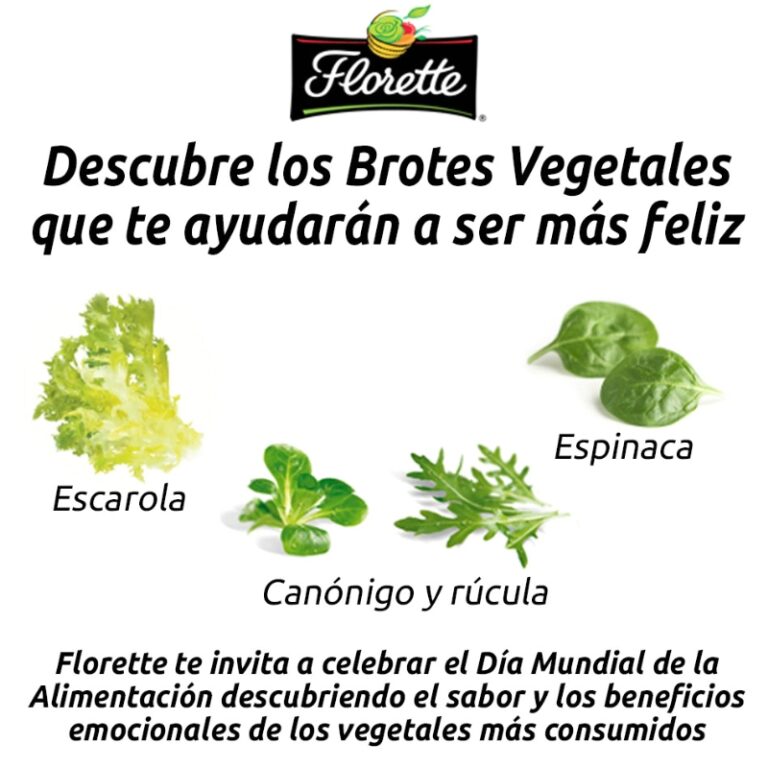 vegetales

Gama de Productos Vegetales: ¡Descubre la Alimentación Saludable!