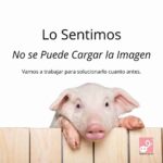 Vida Útil de un Cerdo Ibérico: ¿Cuánto Tiempo Viven?